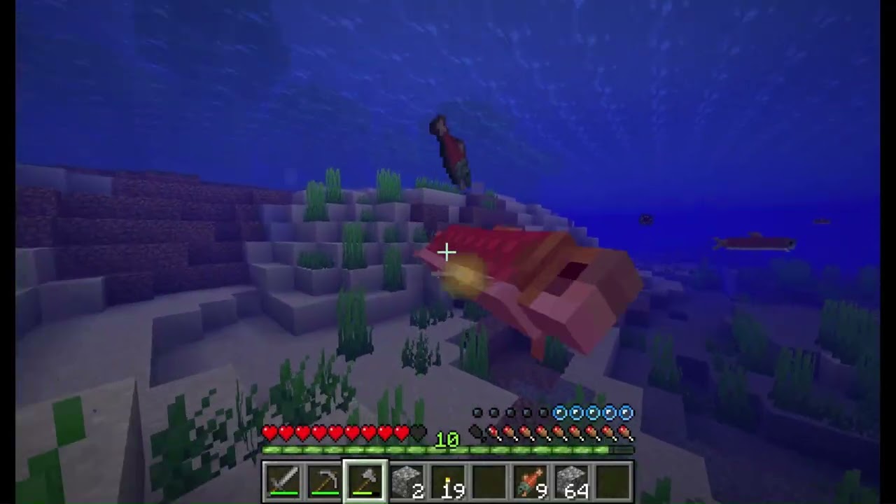 Minecraft Part 8