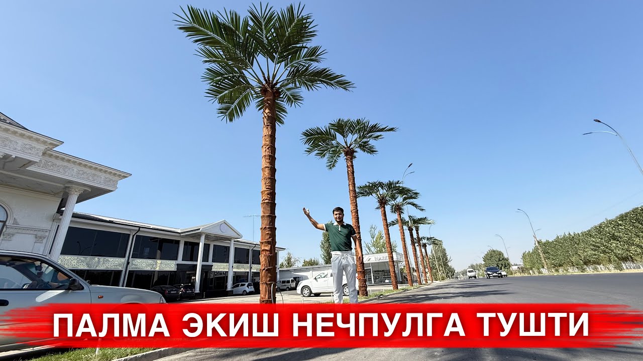 УЙГА ПАЛМА ЭКИШ НЕЧПУЛГА ТУШАДИ НАРХЛАРИ БИЛАН АБЗОР