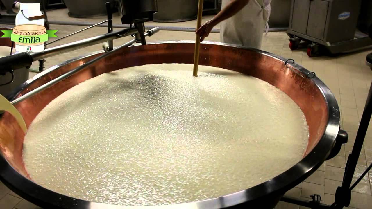 Parmigiano Reggiano Azienda Agricola Emilia