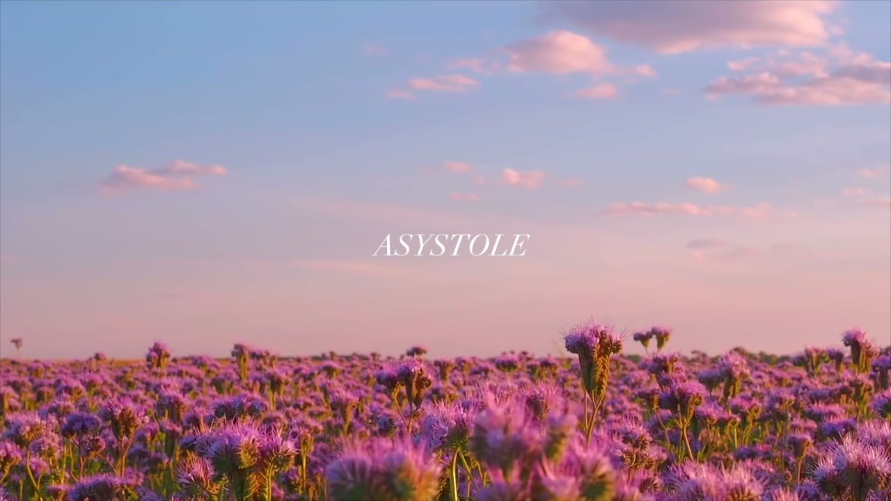 Asystole (Piano Version) - Hayley Williams - by Sam Yung