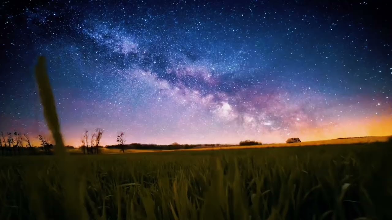 夜空下的珍宝 Jewels Beneath the Night Sky