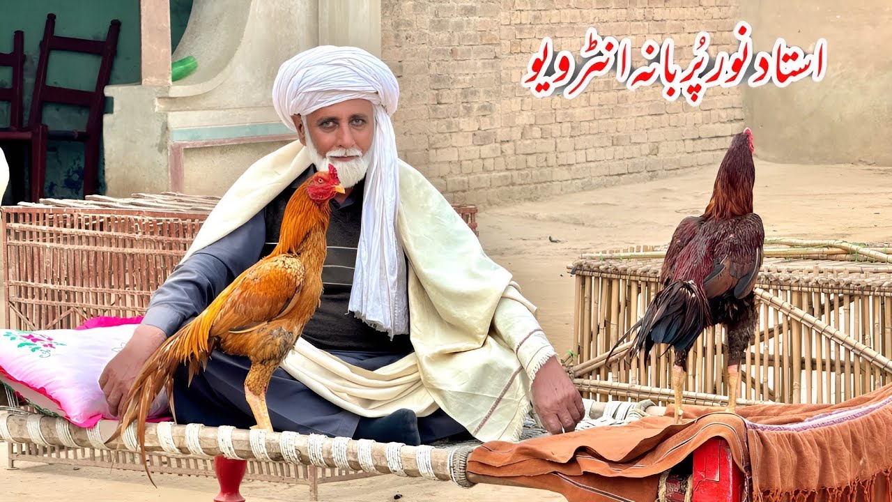 Ustad Noor purbana first exclusive interview