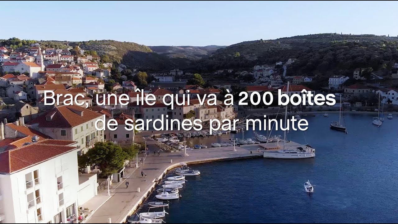 Ligne de conserves de sardines