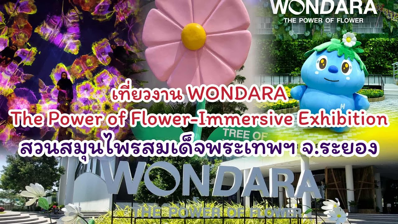 ชมนิทรรศการ #WONDARA : The Power of Flower Immersive Exhibition #สวนสมุนไพรสมเด็จพระเทพฯ #ระยอง