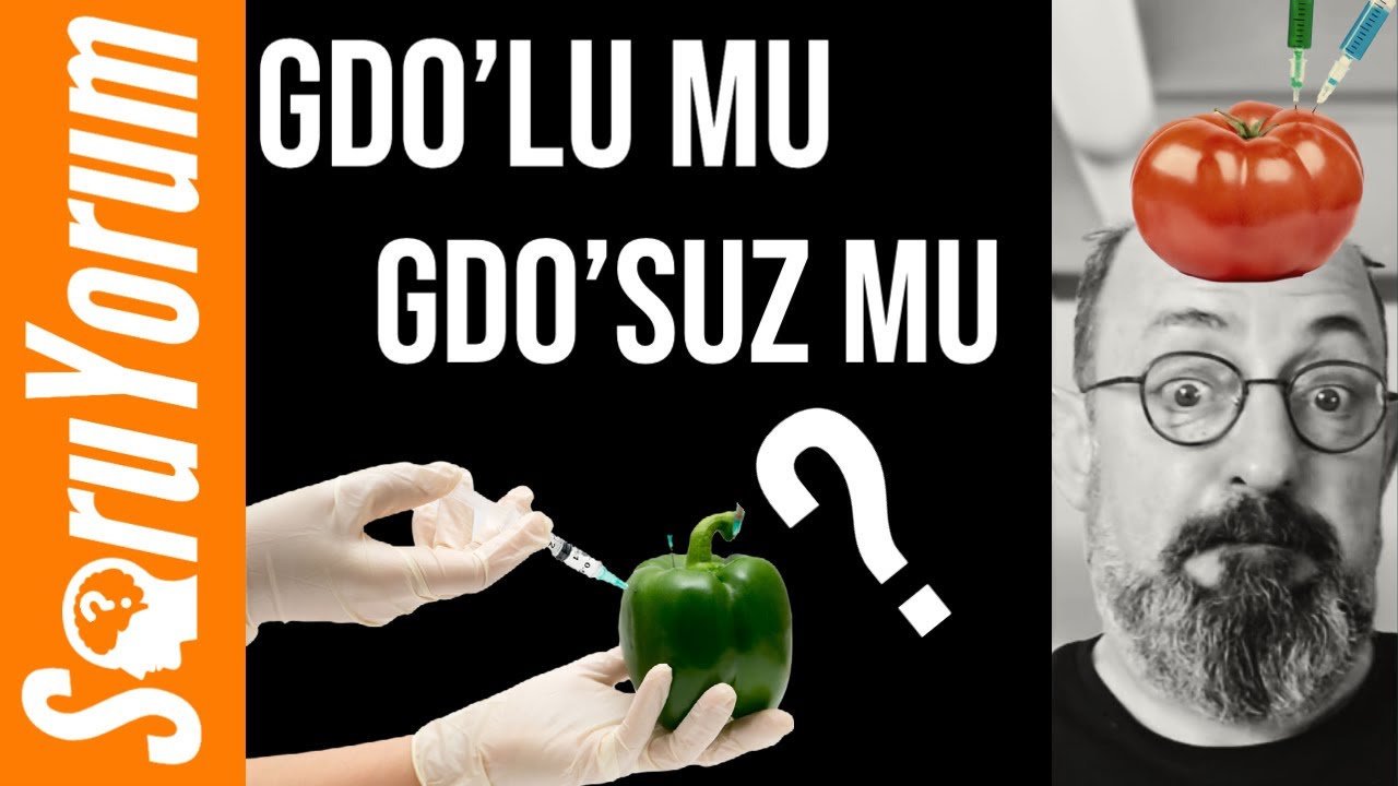 SoruYorum - GDO'lu Mu, GDO'suz Mu !