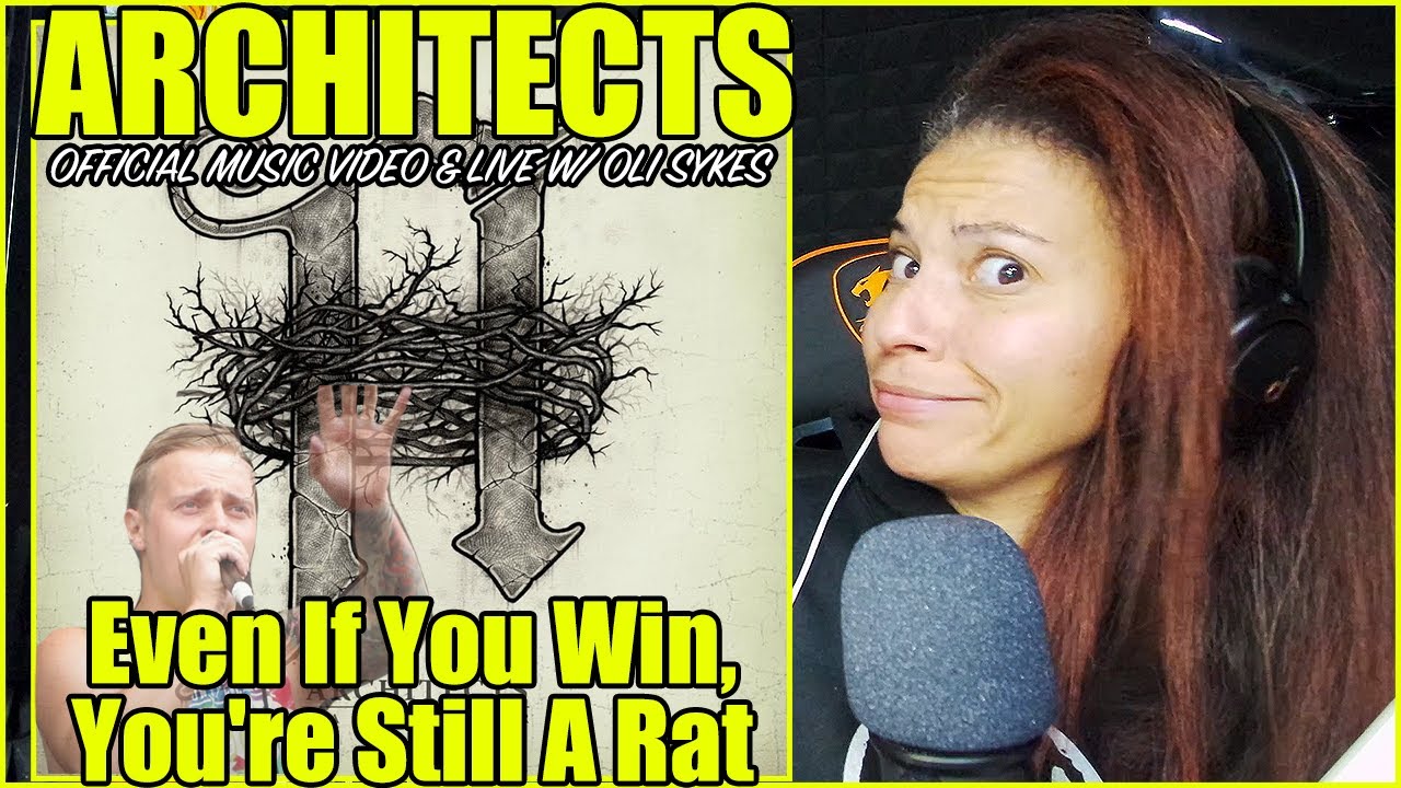 Architects - Even If You Win, You're Still A Rat | Music Video & Live with Oli Sykes Reaction