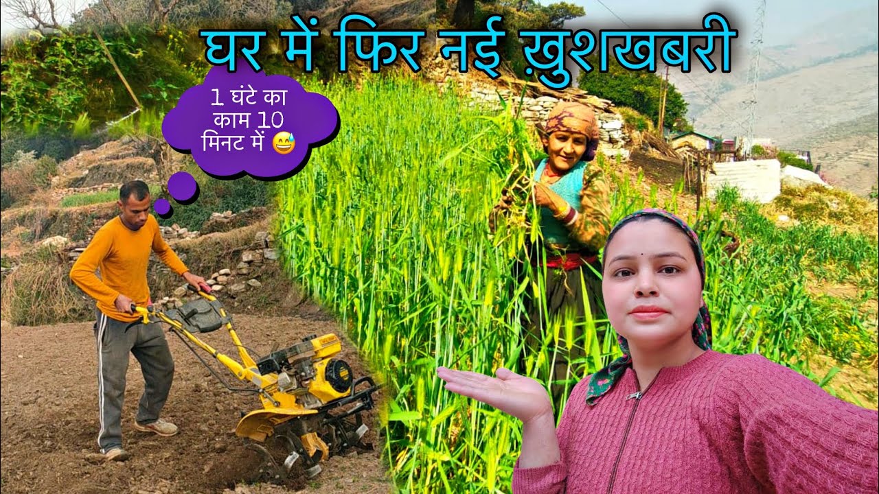 आजकल पहाड़ों में कुछ इस तरह के कामकाज 😱