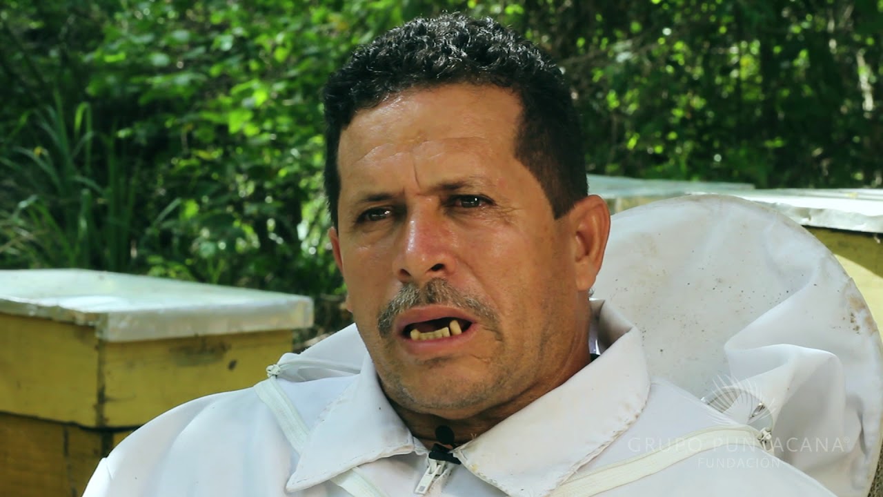 Puntacana Forest Honey - Proyecto de Apicultura