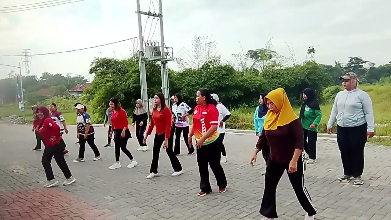 Aerobic pemula