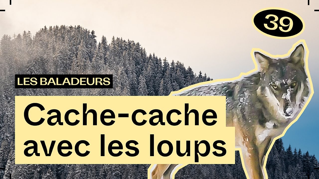La rumeur des forêts, avec Sandra Bérénice Michel — Les Baladeurs podcast #39