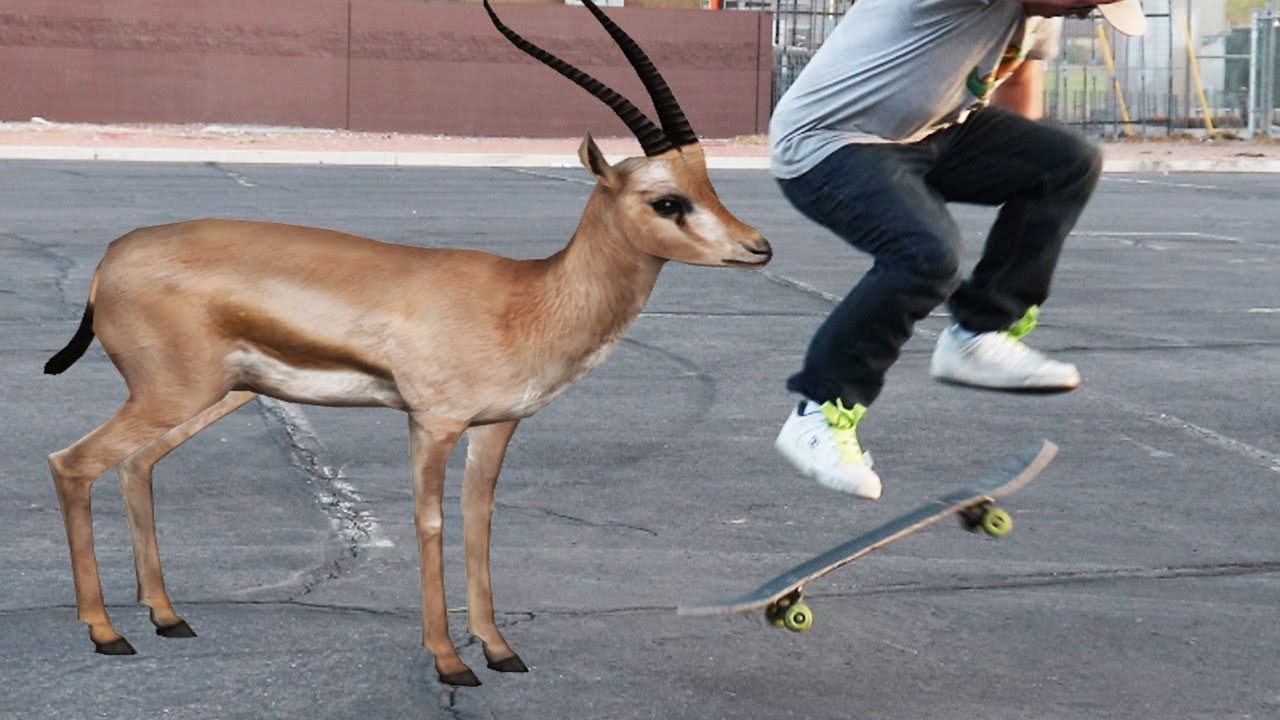WHO CREATED 'GAZELLE' SPIN? Why?