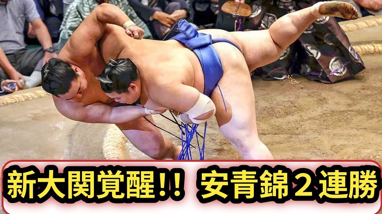 義ノ富士 連勝！Sumo Star on Fire Today!