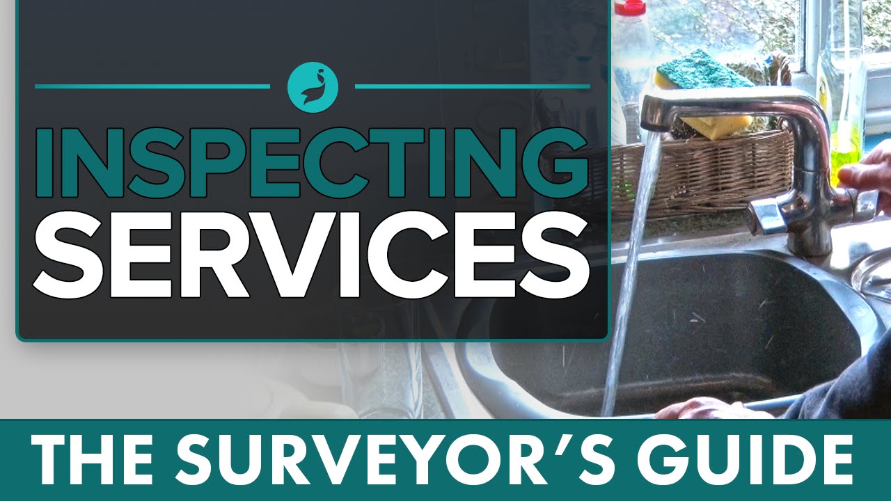Inspecting Services