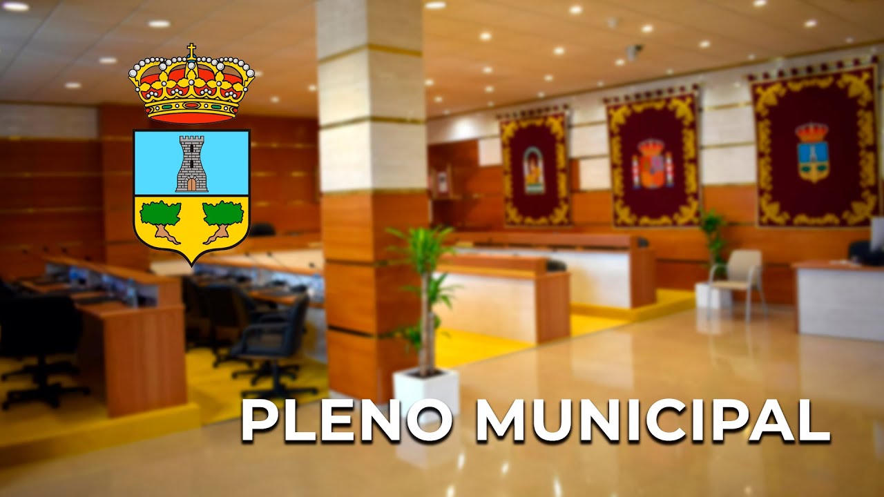 Pleno Ordinario 21 06 24