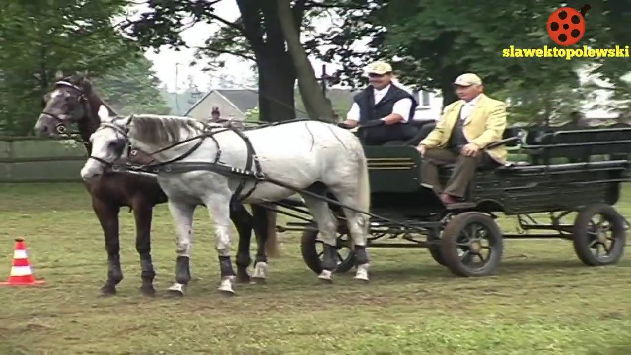 Syberia gm. Lubowidz 17-18.06.2006. Festyn Rodzinny organizowany przez parafię św. Józefa  Syberii.