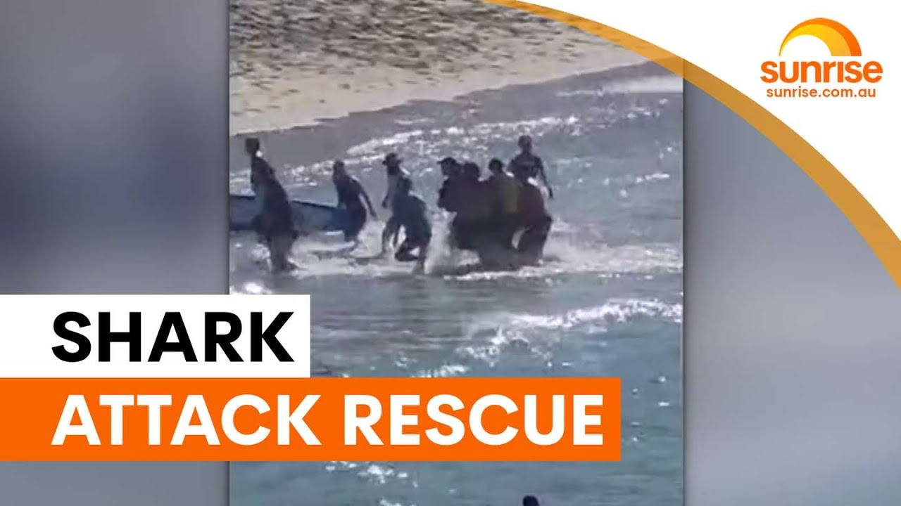Lifeguard's heroic rescue after Coogee shark attack | Sunrise
