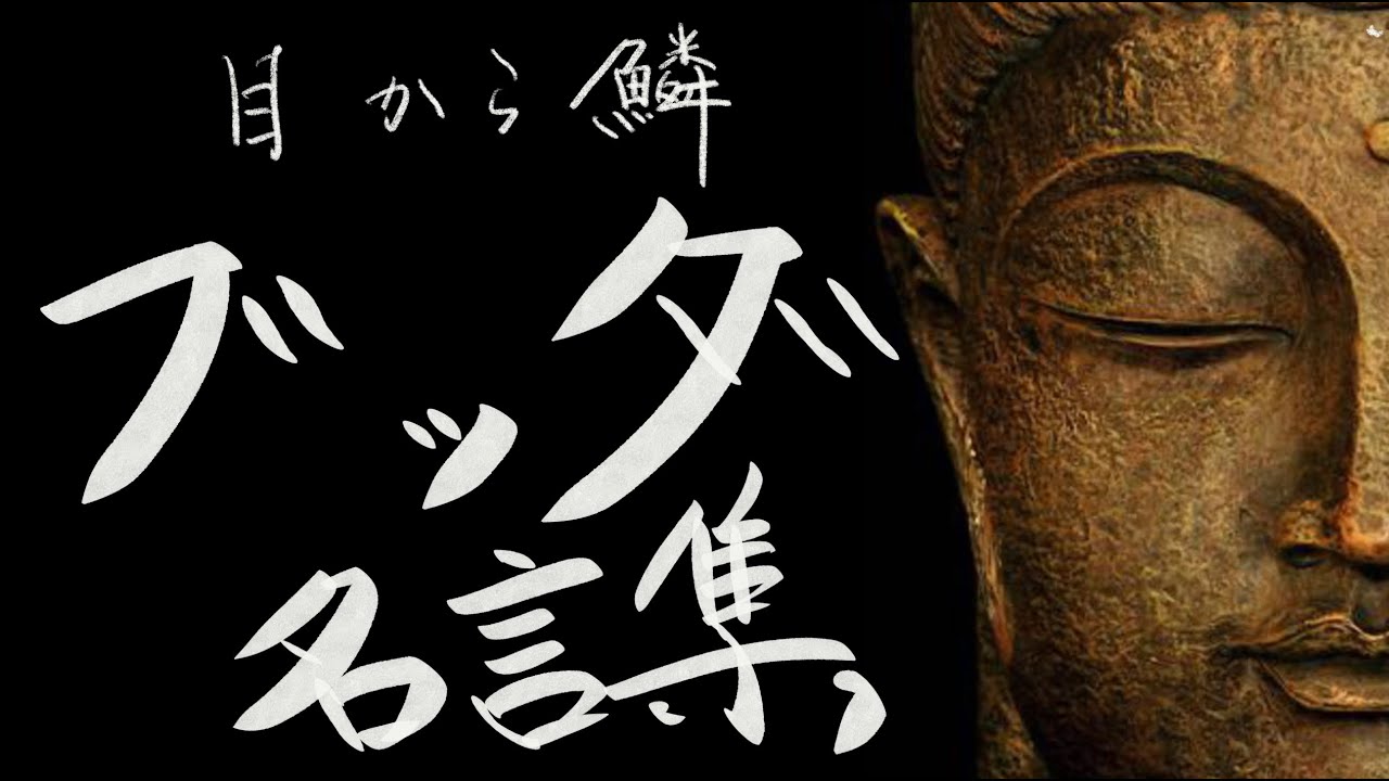 【仏教】ブッダ（仏陀）名言集【人生哲学】