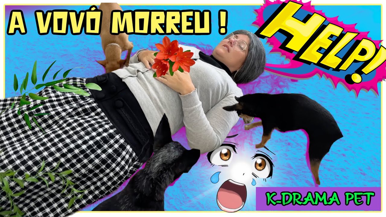 O QUE ACONTECEU COM A VOVÓ?  K-DRAMA PET - EP 3