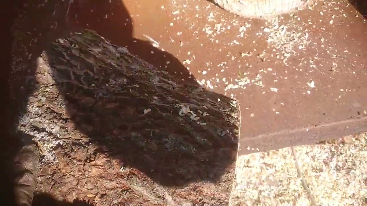 Log with strap or strap with log..