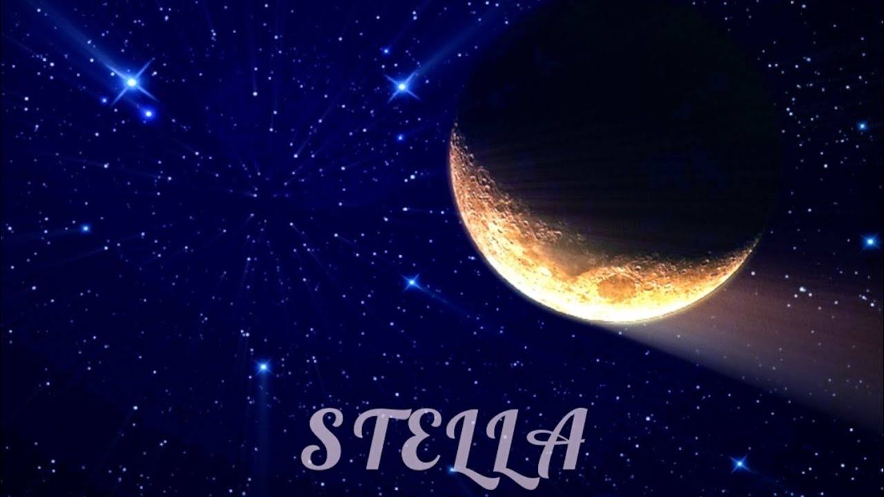 Dreadman-Stella (prod.fewtile)