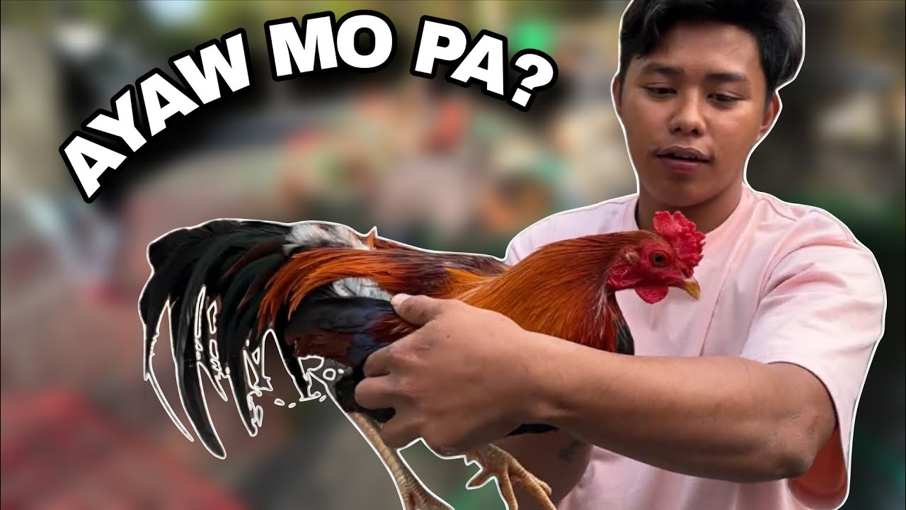 Super Quality na tatlo sampu libre pa ang bayong