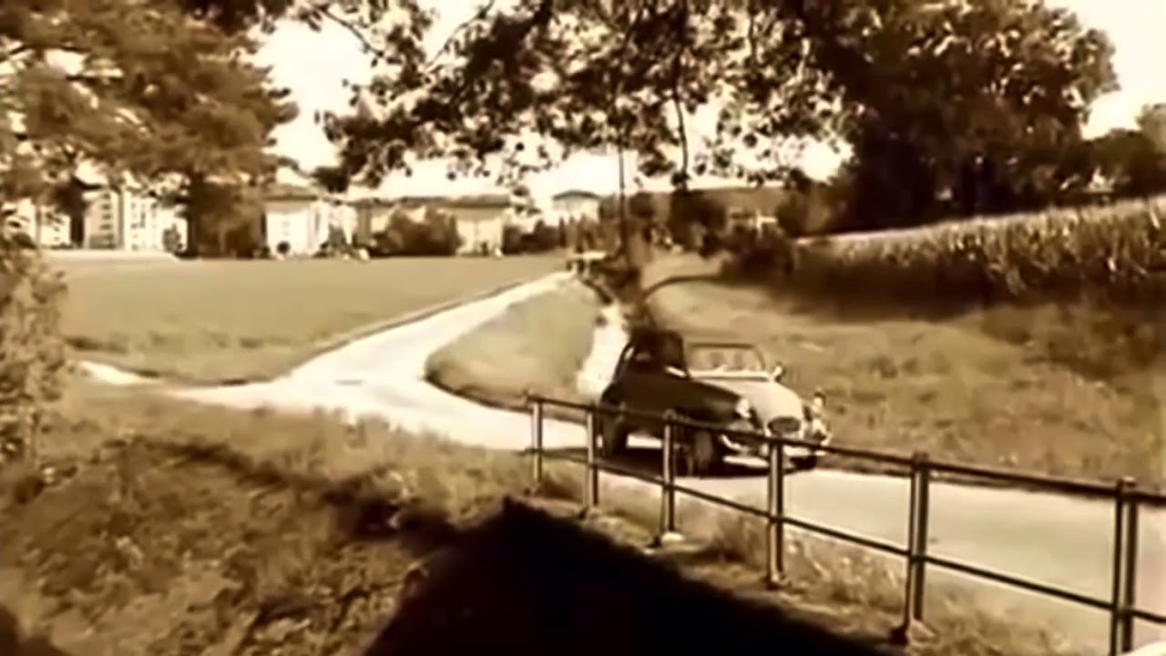 Schwan🦢-G&ouml;l&auml;