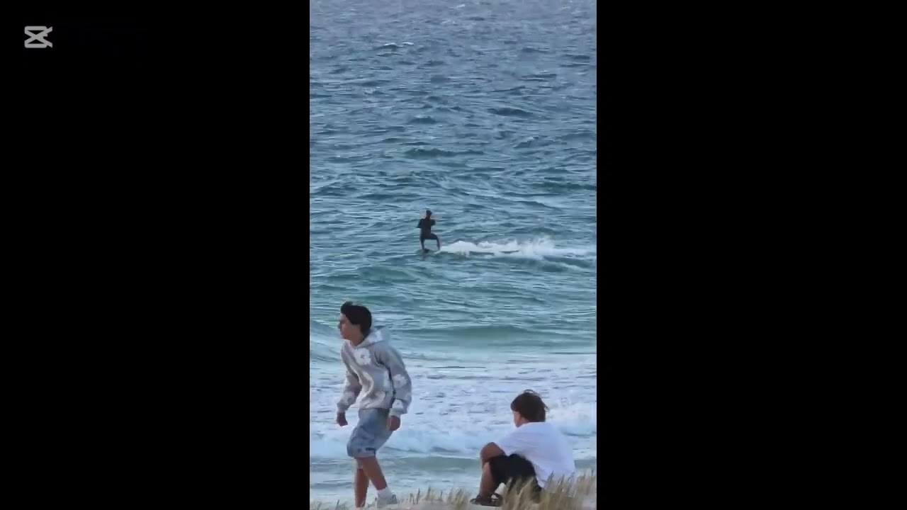 Brave i am not  surfing with  sharks lol