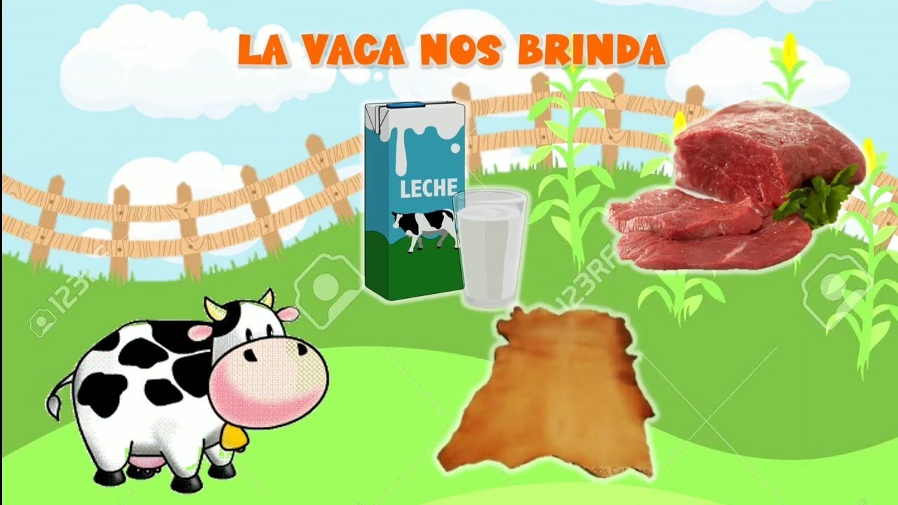 Derivados de los animales para niños
