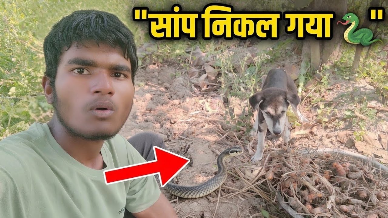 हल्दी खनते हुए साँप🐍 निकल गया 😱| 100 Days Challenge |Day 28 Desi vlog 