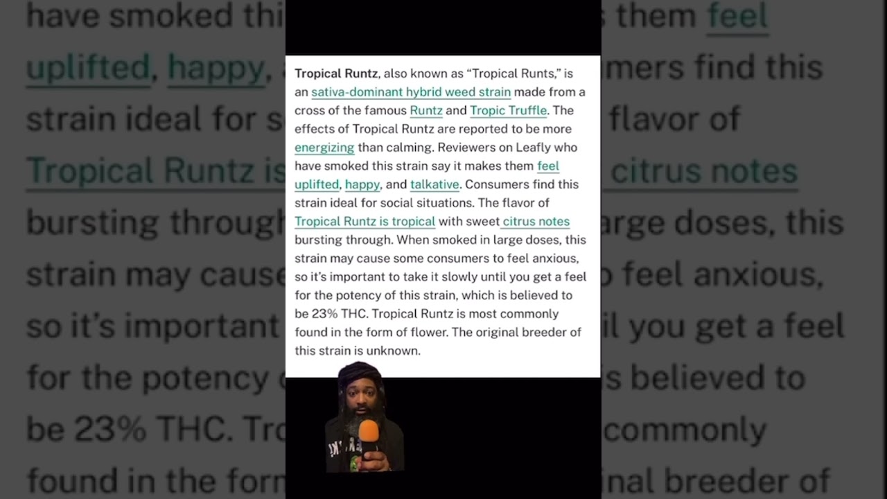 Tropical Runtz. How was your experience ❓