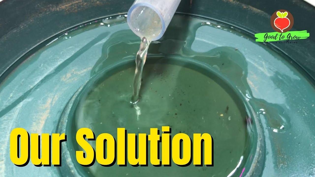 Indoor Watering Solutions for Your GreenStalk Vertical Garden