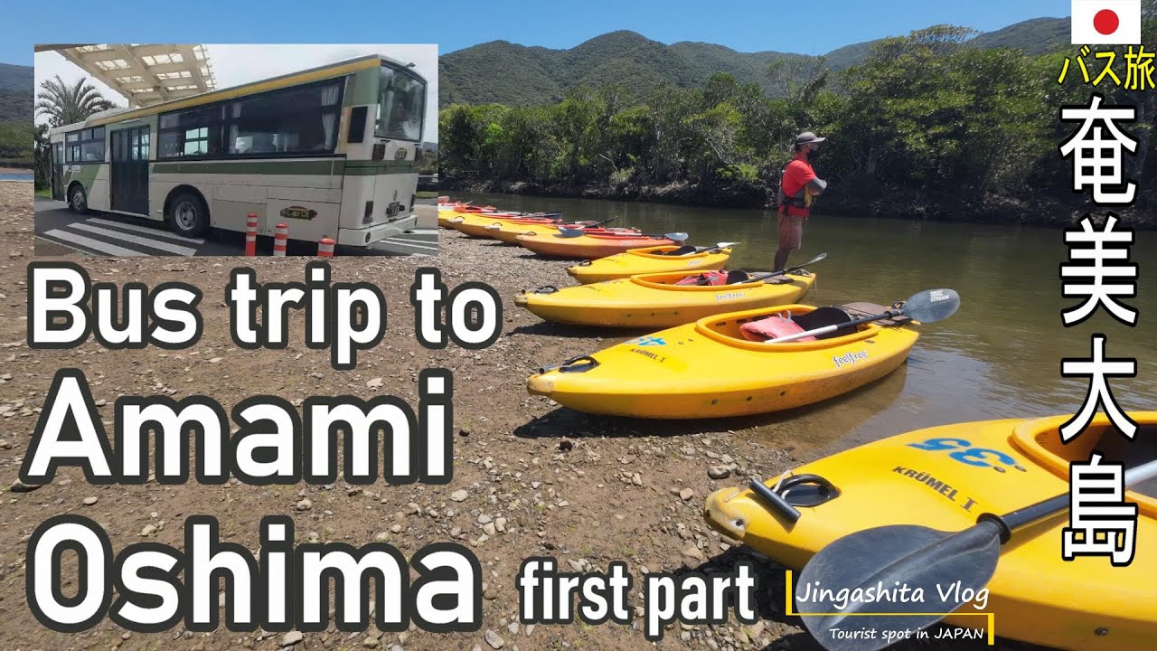 【奄美大島】こだわりのバス旅 前半 Bus trip to Amami Oshima First Part  #amami #oshima #奄美大島 #バス旅 #bustrip Trip Vlog