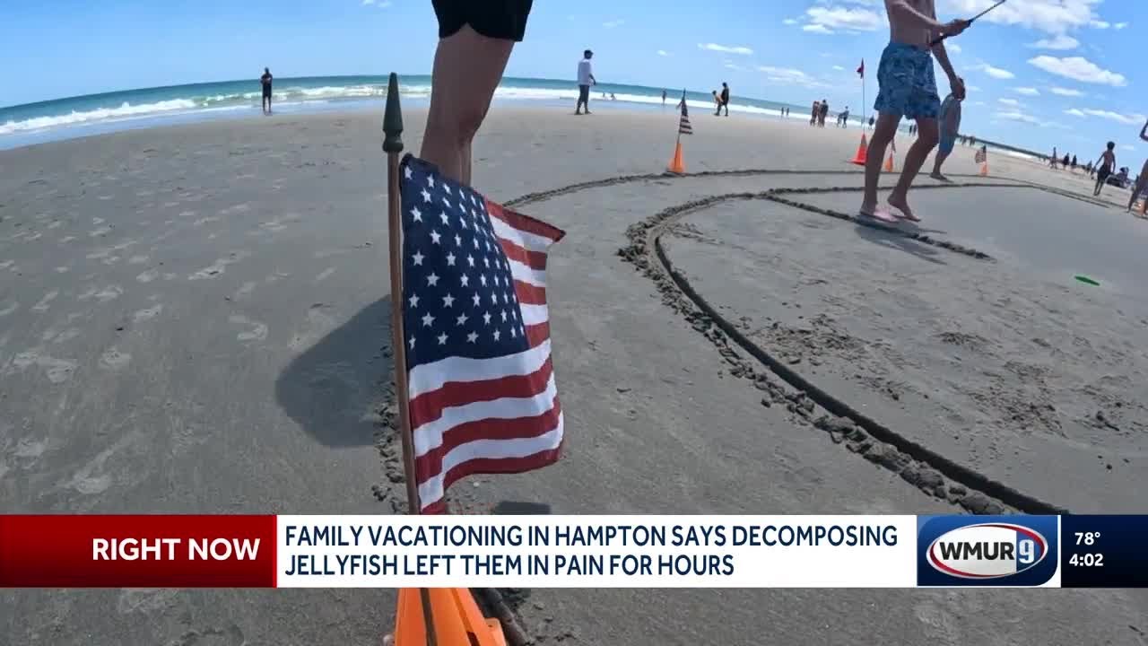 Decomposing jellyfish in Hampton left swimmers in pain for hours, family says