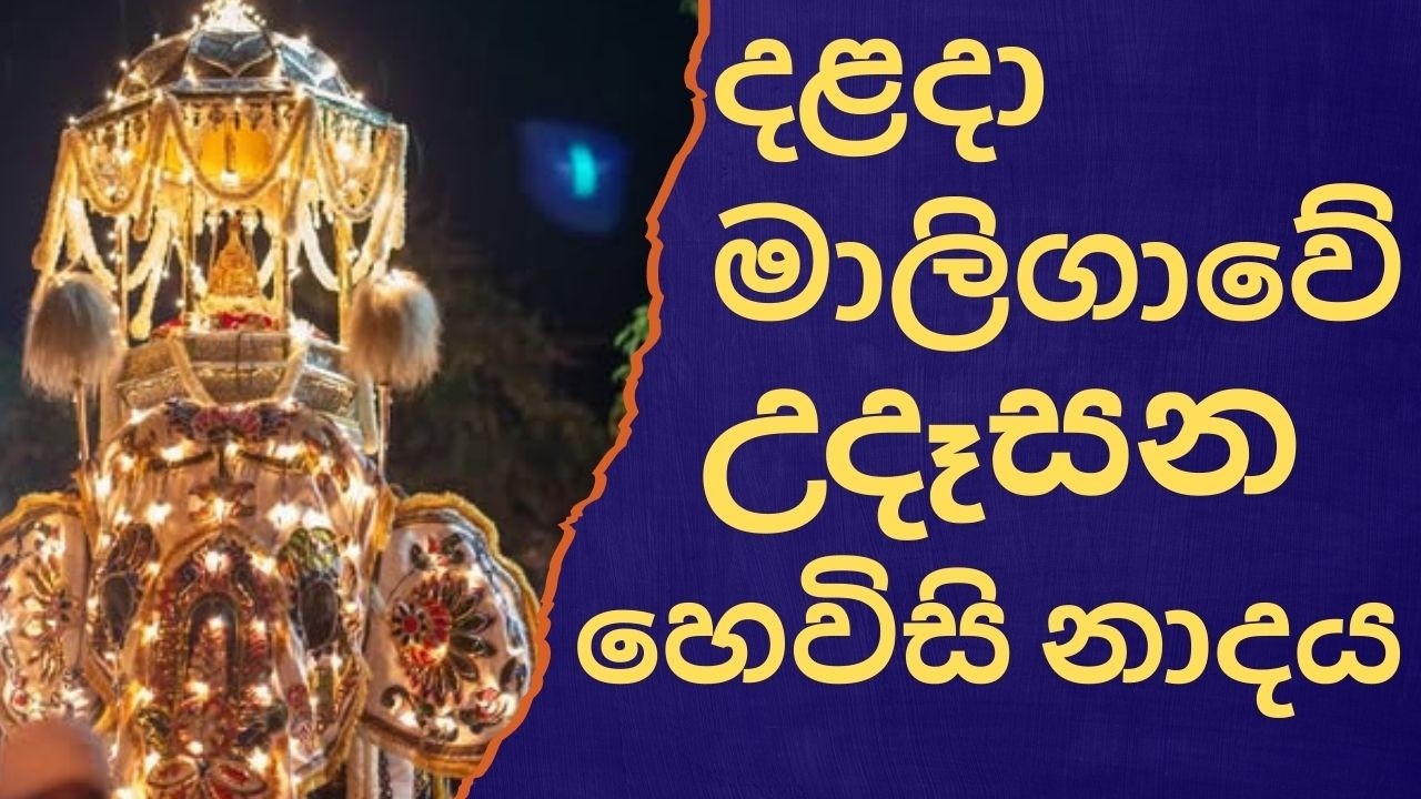 දළදා මාලිගාවේ සවස් තේවා හේවිසි – හදවත පිරිසිදු කරන නාදය 🎵 SIRI DALADA THEWA HEVISI NADAYA