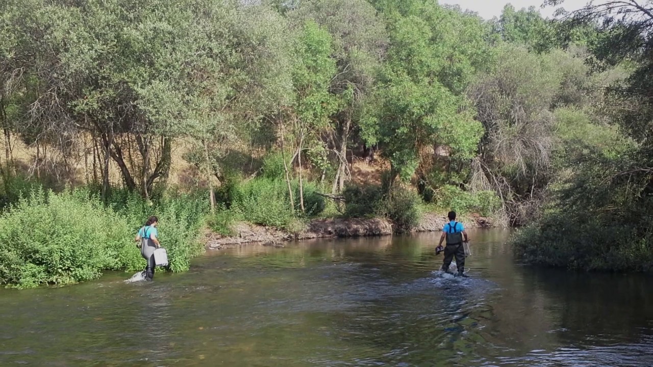 Restauracion Fluvial Río Manzanares Fase II