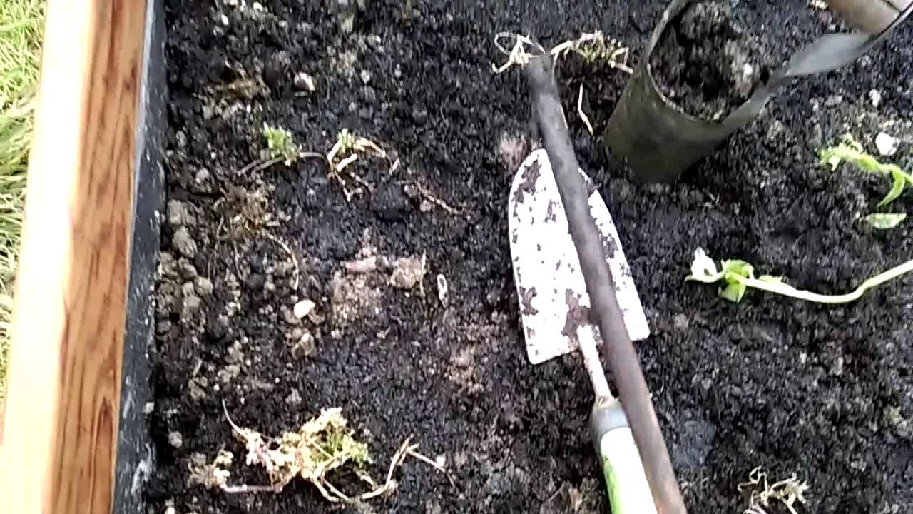 Comment nourrir les lombrics dans les carr&eacute;s potagers Carr&eacute; Serre.