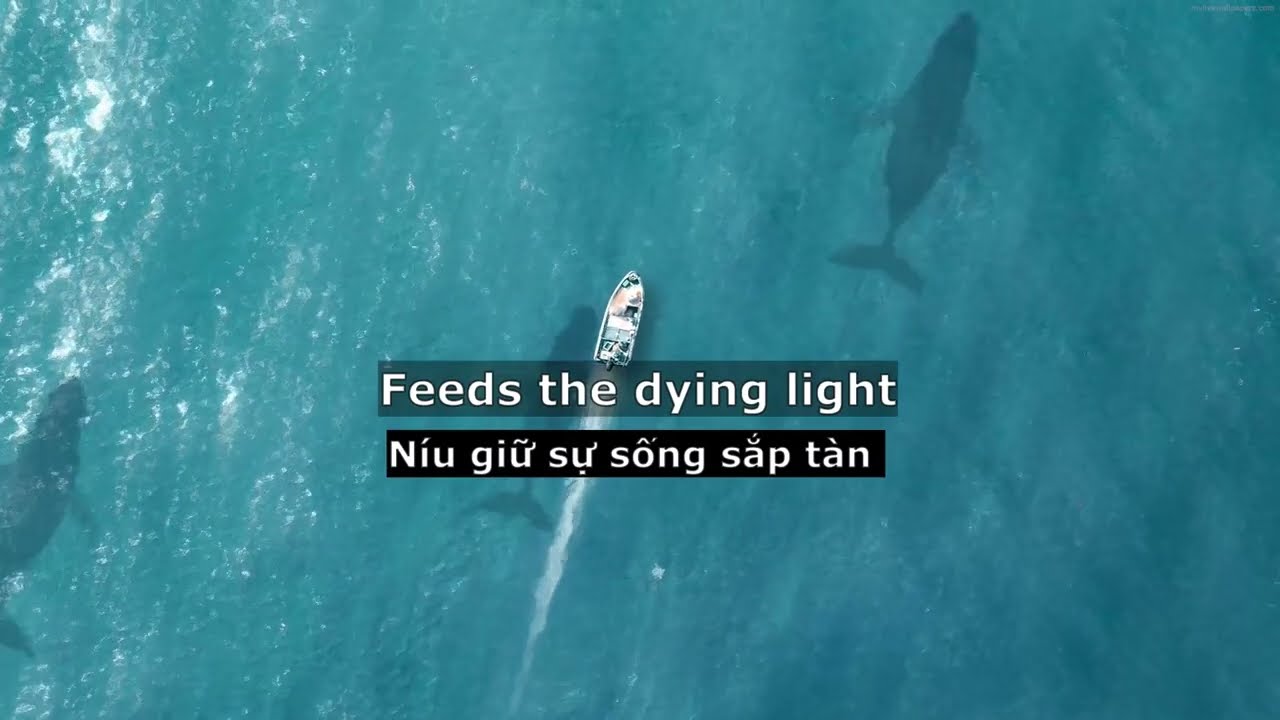 [Lyrics+Vietsub] Ignite - Alan Walker & K-391 ft. Julie Bergan & Seungri♫