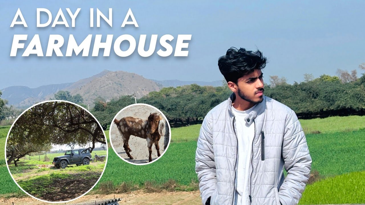 Going to Farm in Rajasthan 🌾 | Pahad Pe Trekking Kari⛰️😍