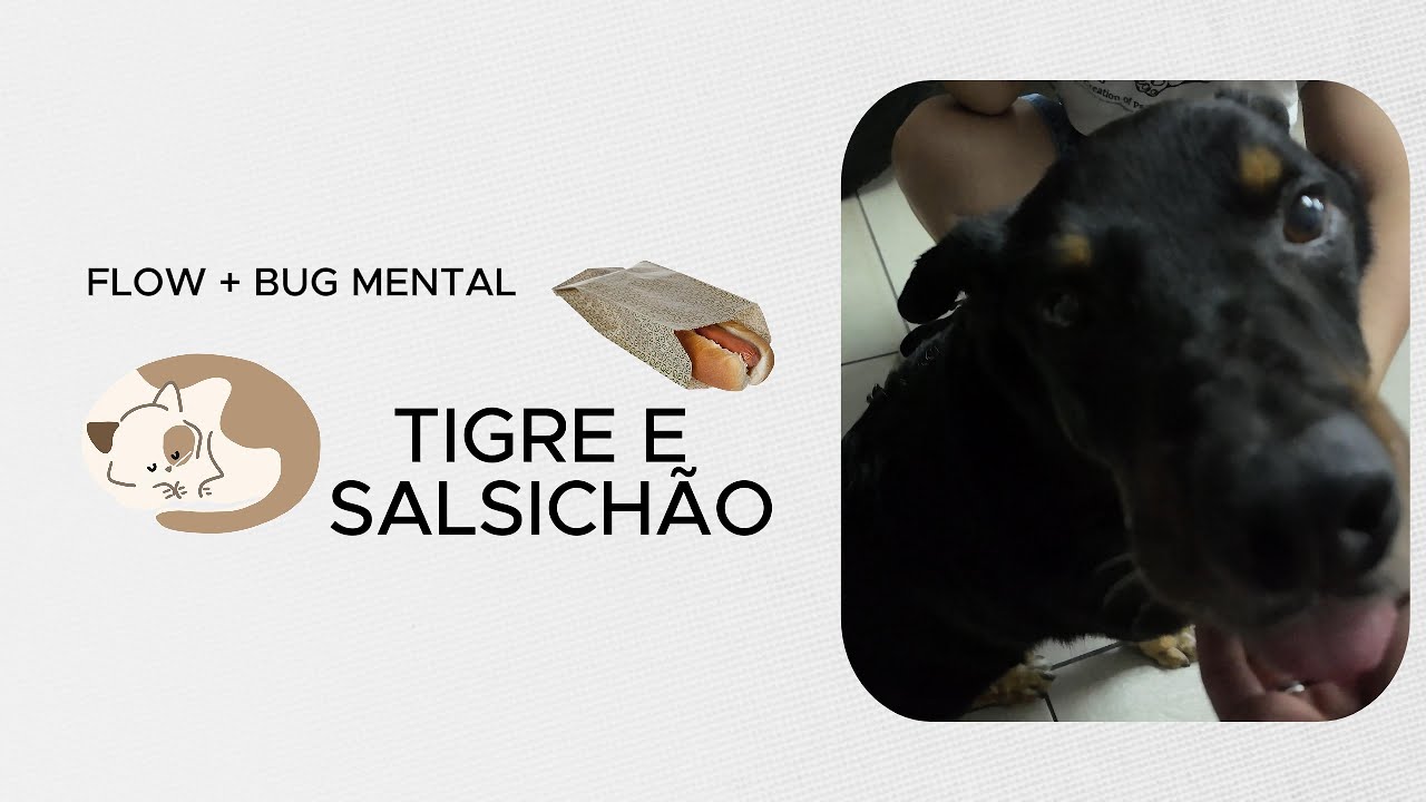 Flow, Dogs, Gatos - Mais um Dia #17