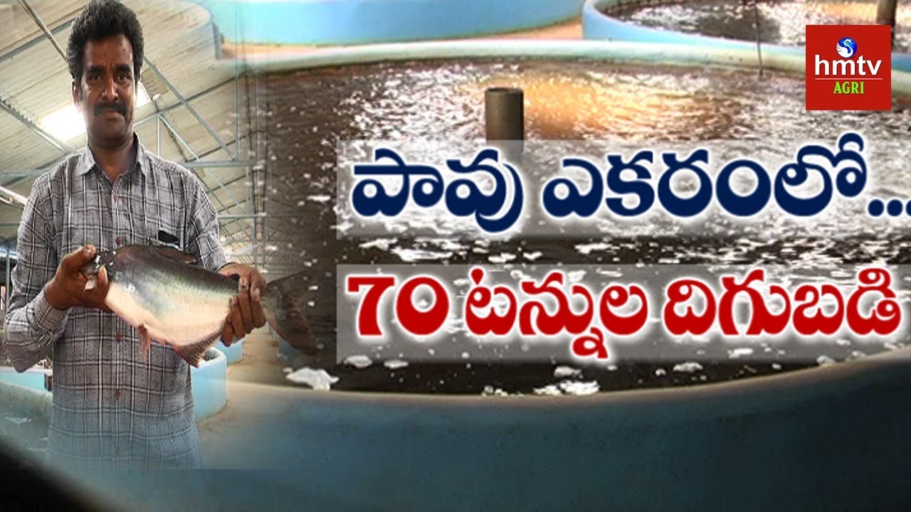 చేపల పెంపకంలో సరికొత్త టెక్నాలజి | Indoor Fish Farming in RAS System | hmtv Agri
