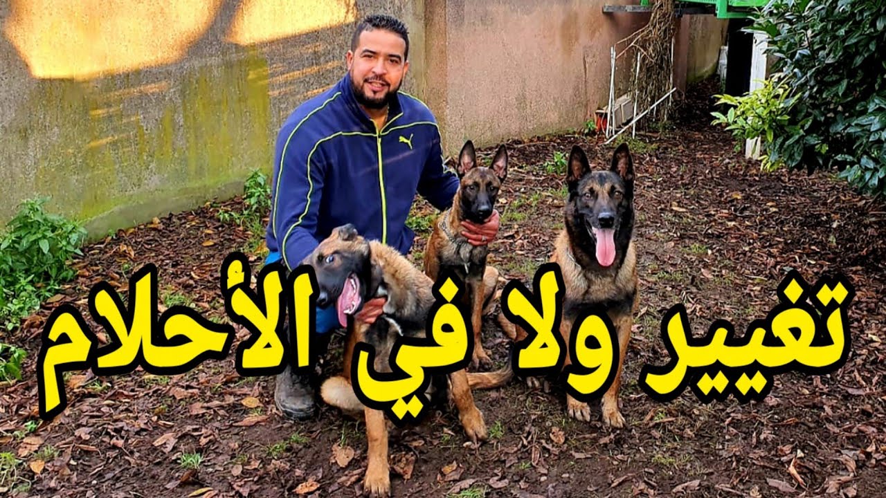 شوف التغيير الخرافي للمالينوا العنيد( باكو ) لي كان باغي يعضني
