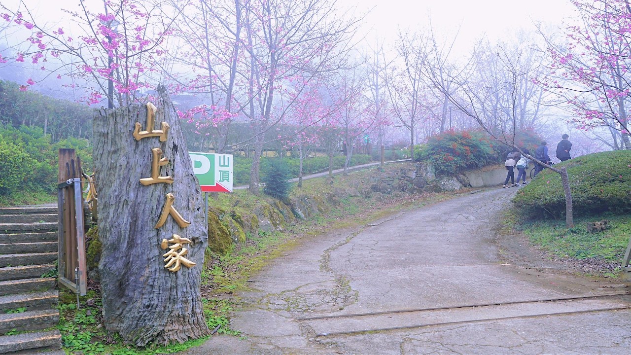 新竹賞櫻,山上人家