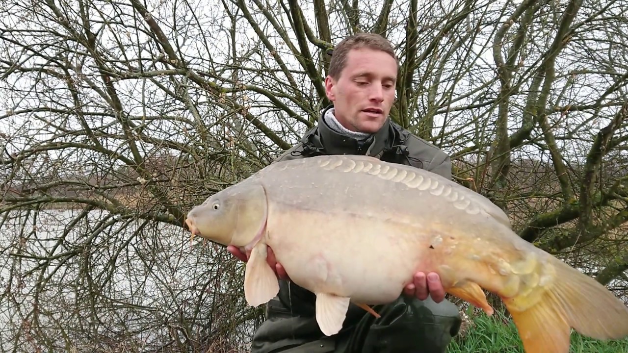 Partie 1 : Fishing Trip en Alsace : Esturgeons et carpes - Mars 2019