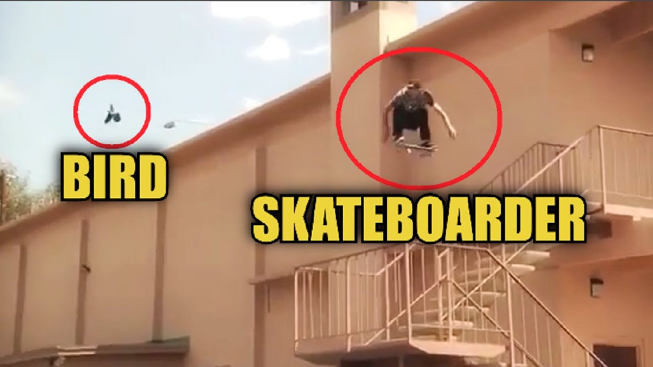 Humans Can Fly (Skateboarding Big Gaps & High Drops)