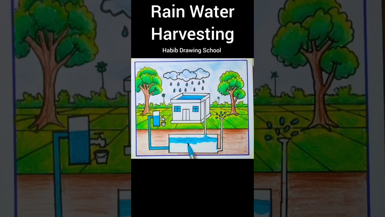 Rain Water Harvesting Drawing 