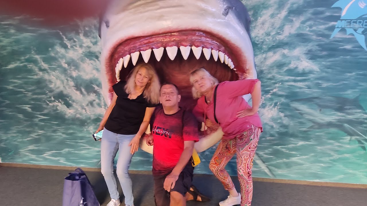 Meeres Aquarium Zella Mehlis 