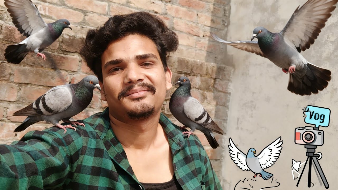 Yah Vlog Humne Kiya Hai kabutaron🕊aur Dogesh🐕ke sath @mr_Shahariyar #Vlog #pigeon #Foryou #foryou 