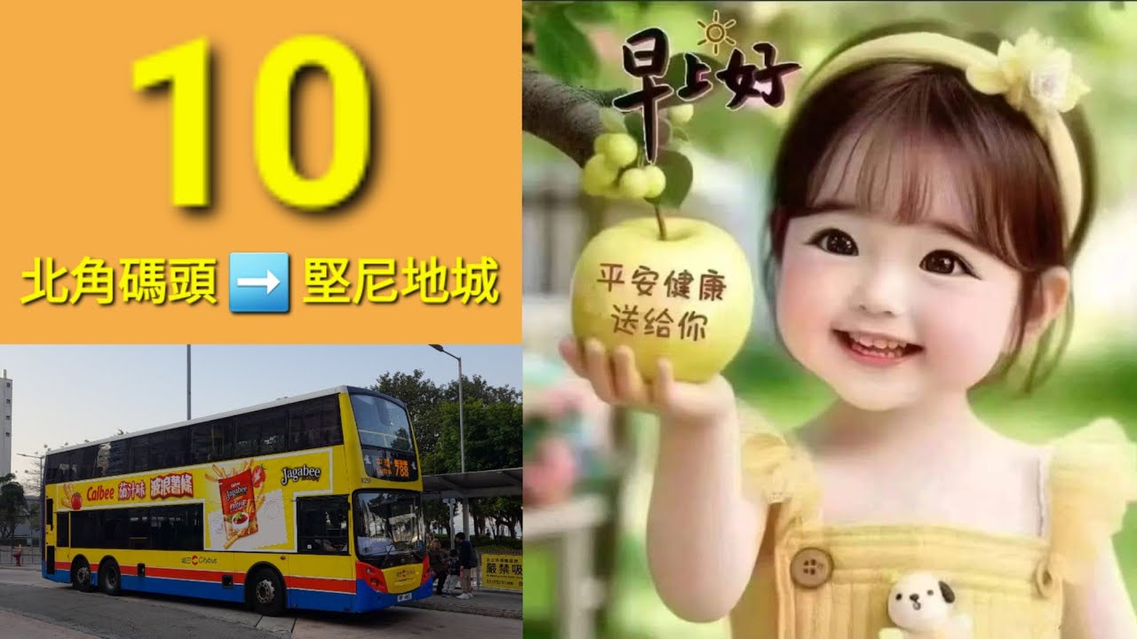 Hong Kong Bus CTB 8251 @ 10 城巴 Alexander Dennis Enviro500 北角碼頭 堅尼地城