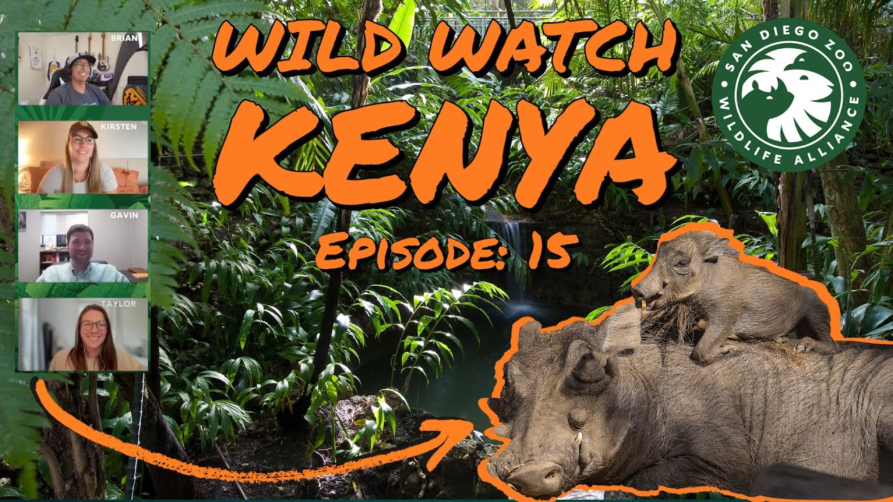 Wildwatch with Us: Ep. 15
