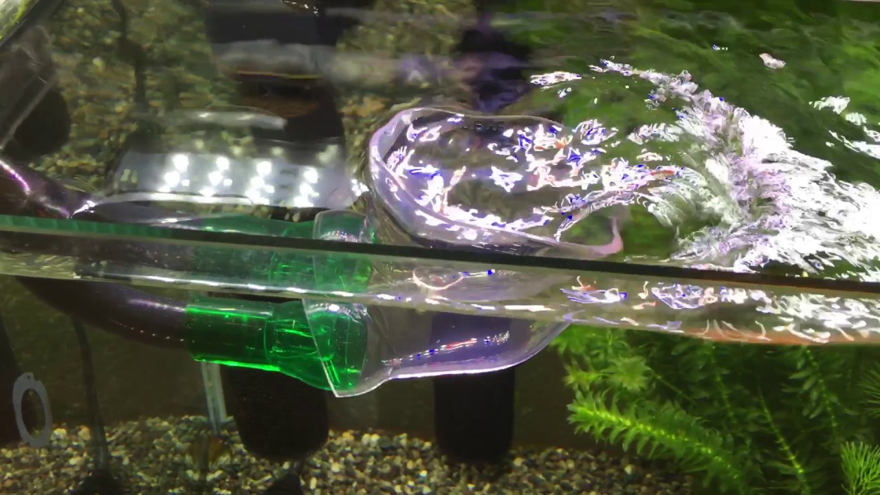 【金魚 60cm水槽】エーハイム プロフェッショナル4 2275 流量 Eheim Professional4+ 600 flow rate in 16 gallon fish tank